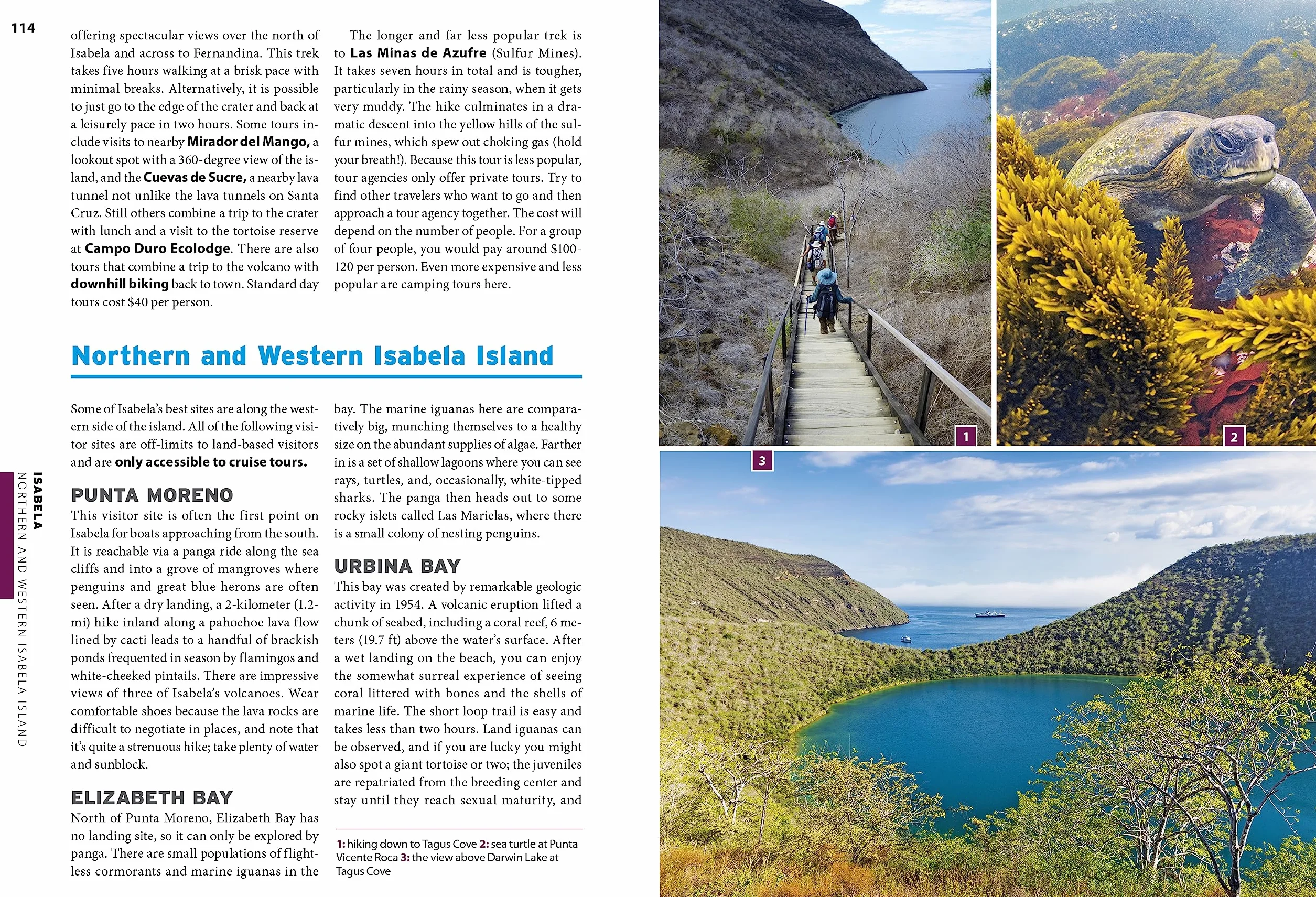 Moon Galápagos Islands: Wildlife, Snorkeling & Diving, Tour Advice