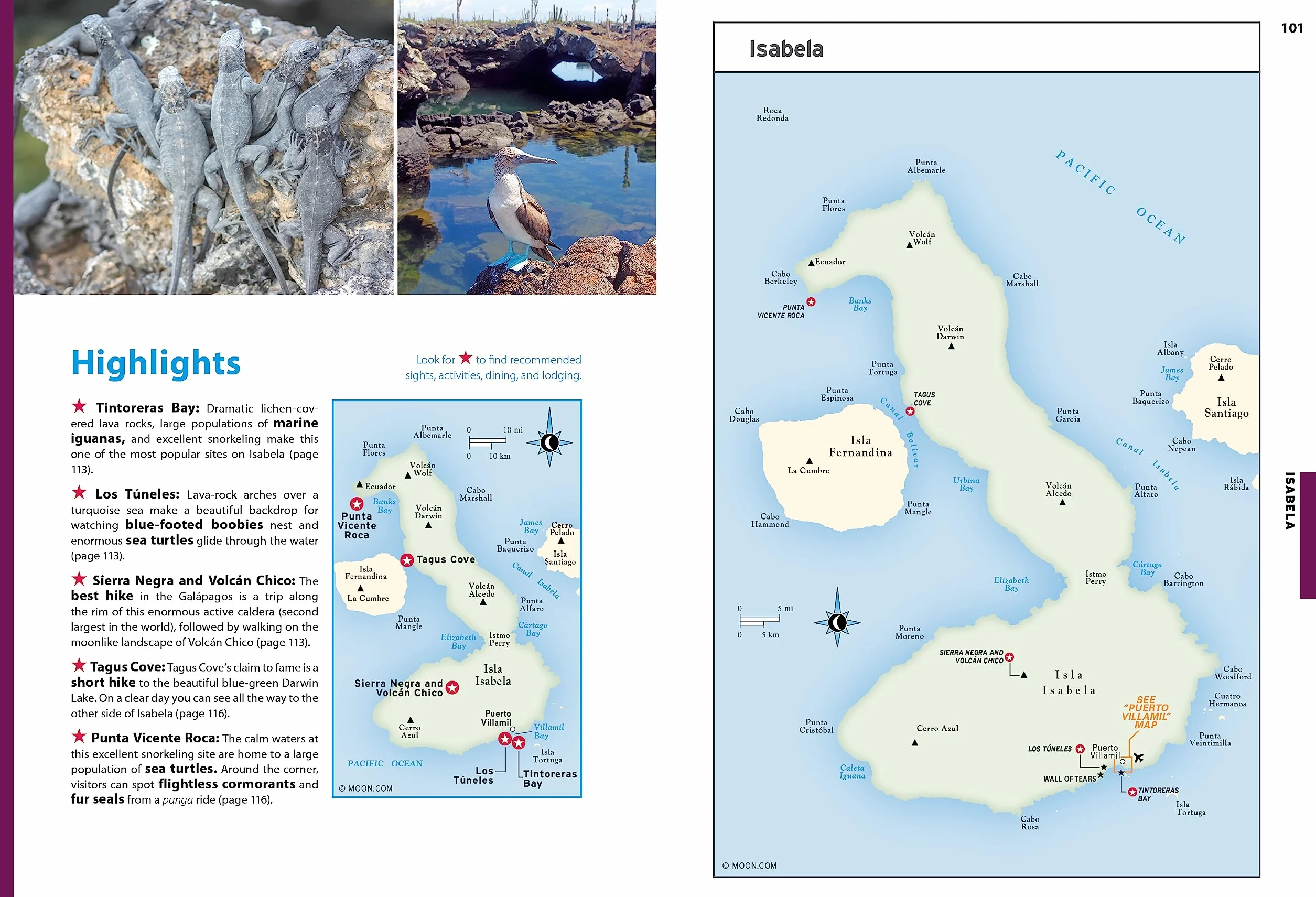 Moon Galápagos Islands: Wildlife, Snorkeling & Diving, Tour Advice