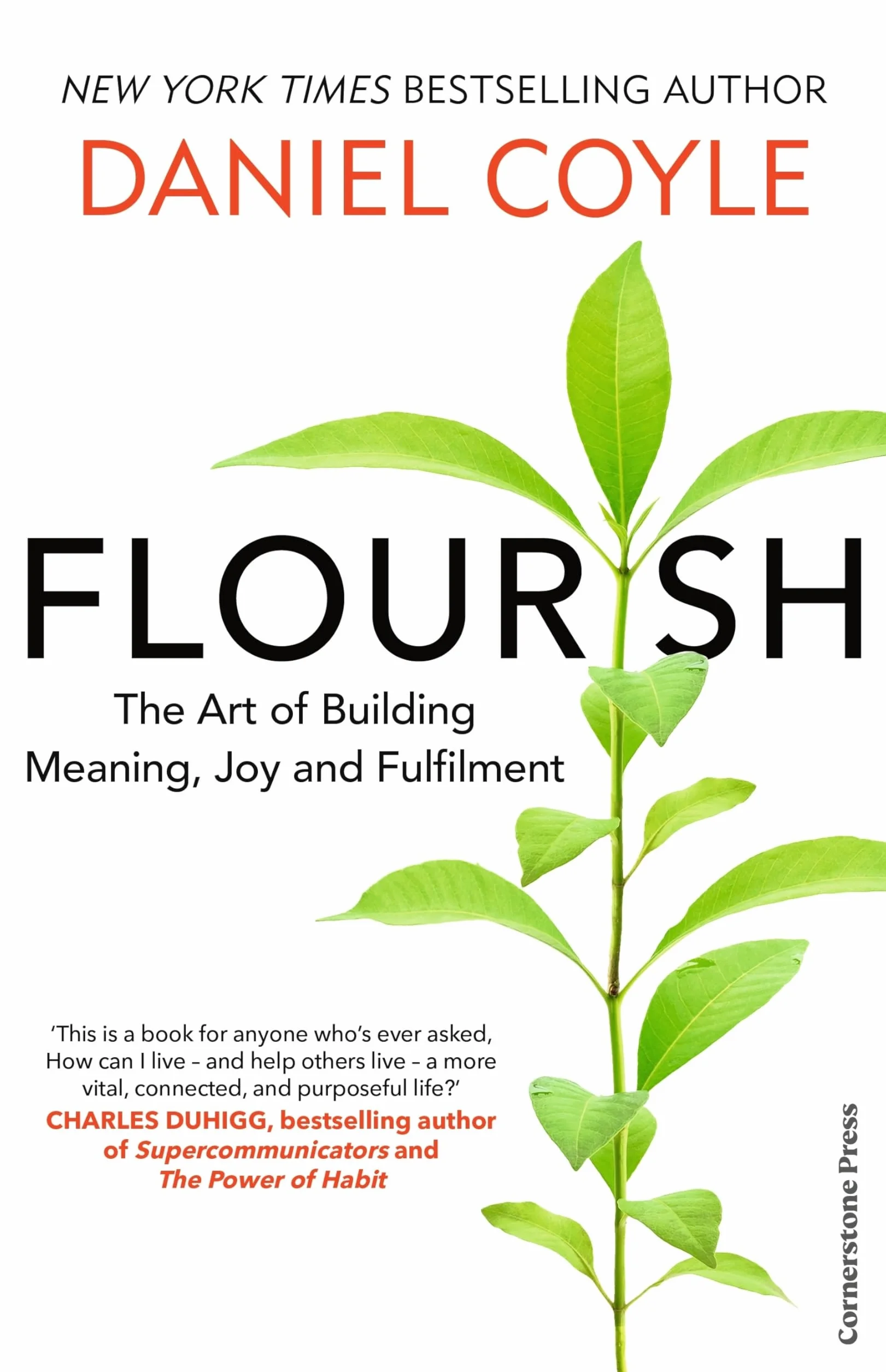 Flourish: The Art of Building Meaning, Joy and Fulfilment