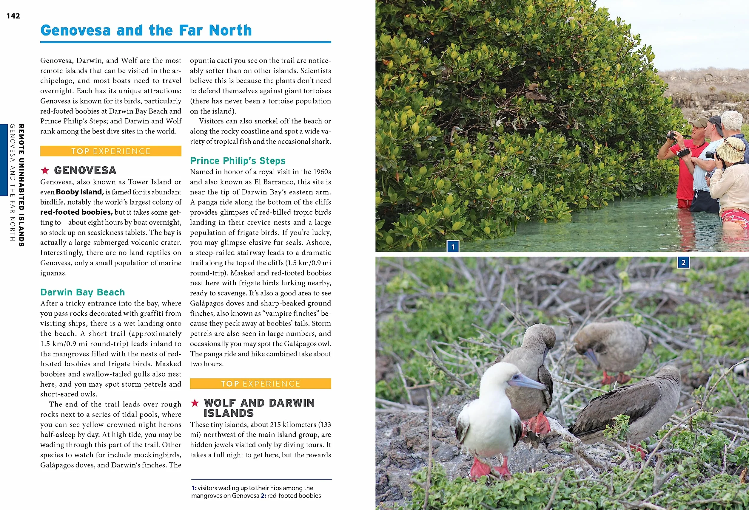 Moon Galápagos Islands: Wildlife, Snorkeling & Diving, Tour Advice
